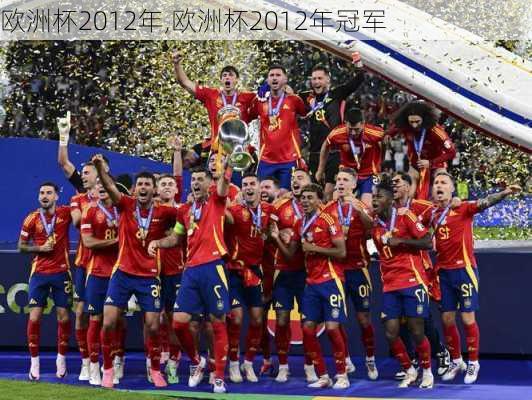欧洲杯2012年,欧洲杯2012年冠军