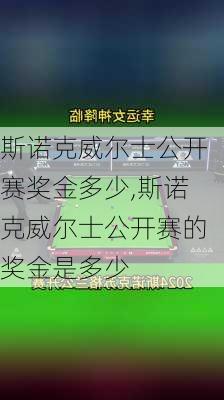 斯诺克威尔士公开赛奖金多少,斯诺克威尔士公开赛的奖金是多少