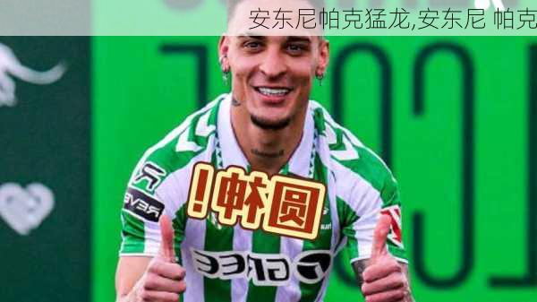 安东尼帕克猛龙,安东尼 帕克