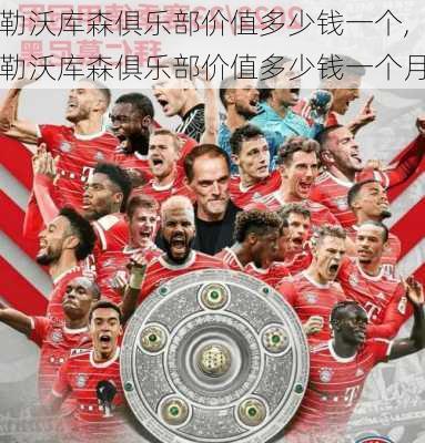 勒沃库森俱乐部价值多少钱一个,勒沃库森俱乐部价值多少钱一个月