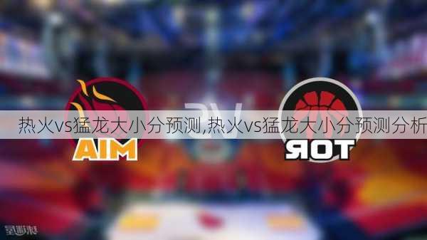 热火vs猛龙大小分预测,热火vs猛龙大小分预测分析