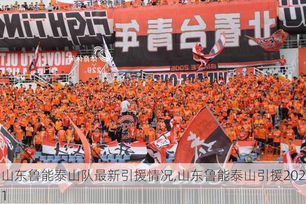 山东鲁能泰山队最新引援情况,山东鲁能泰山引援2021