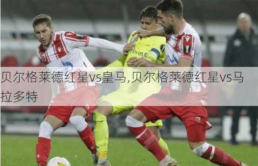 贝尔格莱德红星vs皇马,贝尔格莱德红星vs马拉多特