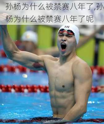孙杨为什么被禁赛八年了,孙杨为什么被禁赛八年了呢