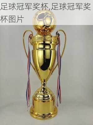 足球冠军奖杯,足球冠军奖杯图片