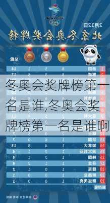 冬奥会奖牌榜第一名是谁,冬奥会奖牌榜第一名是谁啊