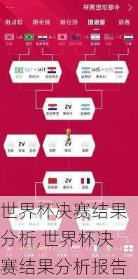 世界杯决赛结果分析,世界杯决赛结果分析报告