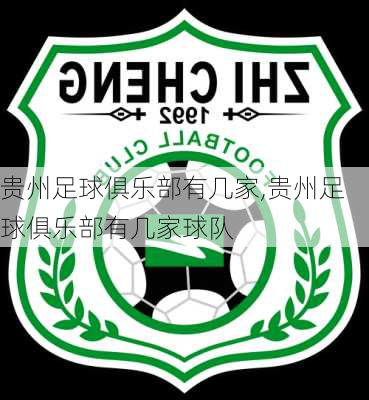 贵州足球俱乐部有几家,贵州足球俱乐部有几家球队