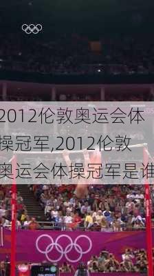 2012伦敦奥运会体操冠军,2012伦敦奥运会体操冠军是谁