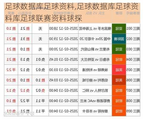 足球数据库足球资料,足球数据库足球资料库足球联赛资料球探