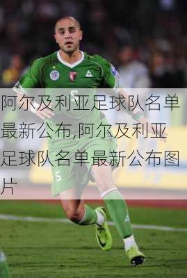 阿尔及利亚足球队名单最新公布,阿尔及利亚足球队名单最新公布图片