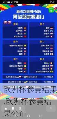 欧洲杯参赛结果,欧洲杯参赛结果公布