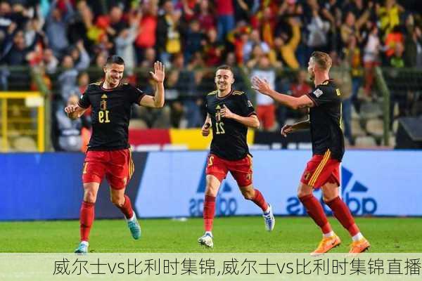 威尔士vs比利时集锦,威尔士vs比利时集锦直播