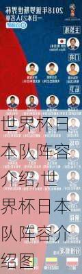 世界杯日本队阵容介绍,世界杯日本队阵容介绍图
