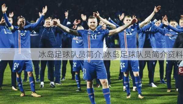 冰岛足球队员简介,冰岛足球队员简介资料