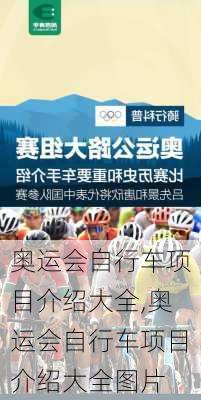 奥运会自行车项目介绍大全,奥运会自行车项目介绍大全图片