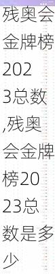 残奥会金牌榜2023总数,残奥会金牌榜2023总数是多少