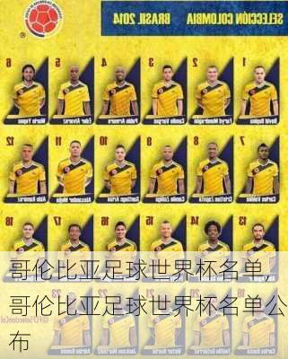 哥伦比亚足球世界杯名单,哥伦比亚足球世界杯名单公布
