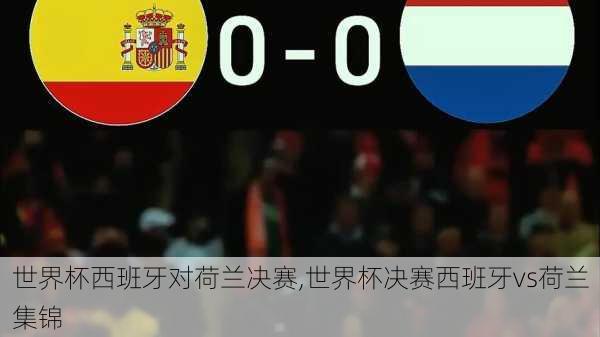 世界杯西班牙对荷兰决赛,世界杯决赛西班牙vs荷兰集锦