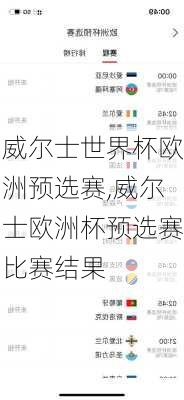 威尔士世界杯欧洲预选赛,威尔士欧洲杯预选赛比赛结果