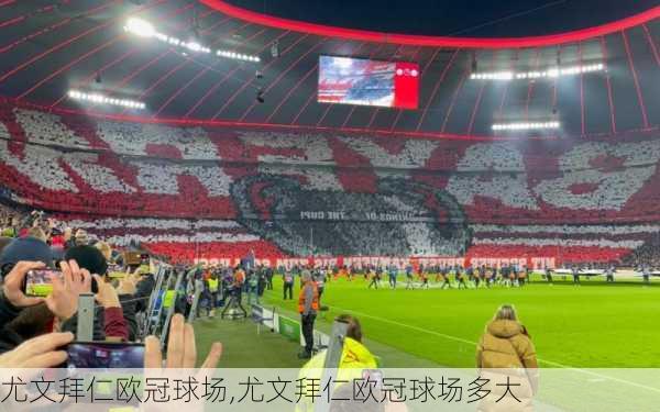 尤文拜仁欧冠球场,尤文拜仁欧冠球场多大