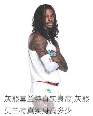灰熊莫兰特真实身高,灰熊莫兰特真实身高多少