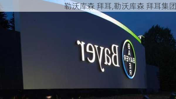 勒沃库森 拜耳,勒沃库森 拜耳集团