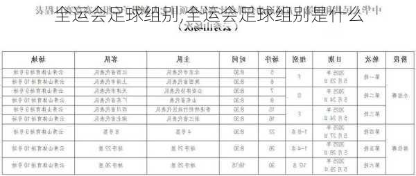 全运会足球组别,全运会足球组别是什么