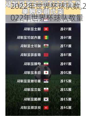 2022年世界杯球队数,2022年世界杯球队数量