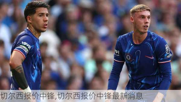 切尔西报价中锋,切尔西报价中锋最新消息