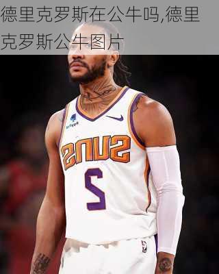 德里克罗斯在公牛吗,德里克罗斯公牛图片