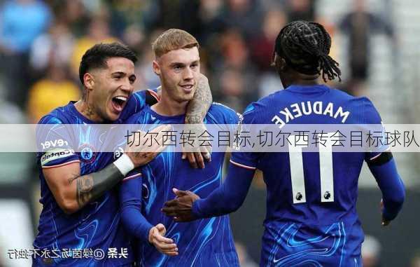 切尔西转会目标,切尔西转会目标球队