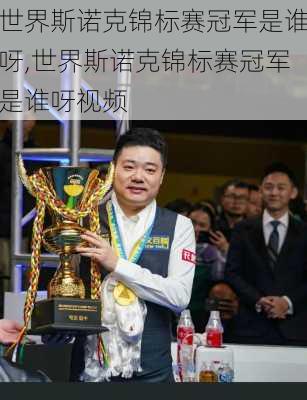 世界斯诺克锦标赛冠军是谁呀,世界斯诺克锦标赛冠军是谁呀视频