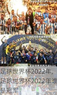 足球世界杯2022年,足球世界杯2022年谁是冠军