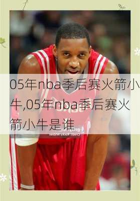 05年nba季后赛火箭小牛,05年nba季后赛火箭小牛是谁
