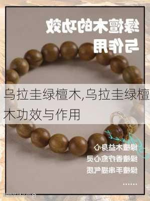 乌拉圭绿檀木,乌拉圭绿檀木功效与作用