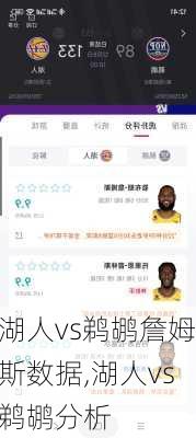 湖人vs鹈鹕詹姆斯数据,湖人vs鹈鹕分析
