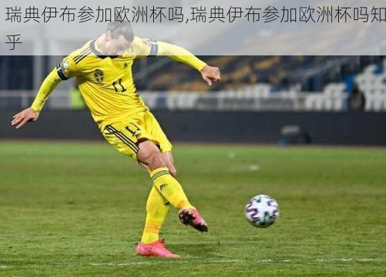 瑞典伊布参加欧洲杯吗,瑞典伊布参加欧洲杯吗知乎