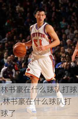 林书豪在什么球队打球,林书豪在什么球队打球了