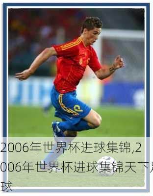 2006年世界杯进球集锦,2006年世界杯进球集锦天下足球