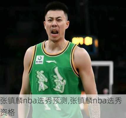 张镇麟nba选秀预测,张镇麟nba选秀资格