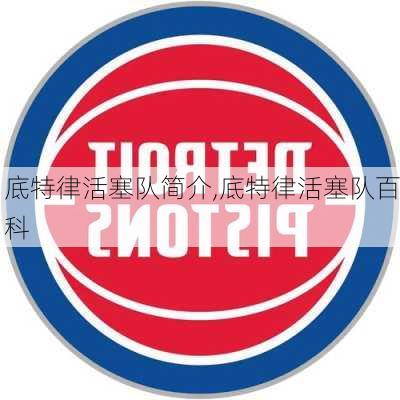 底特律活塞队简介,底特律活塞队百科