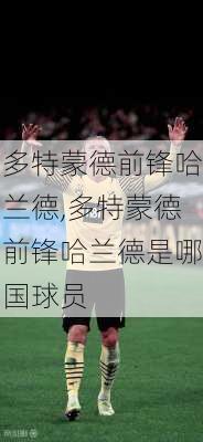 多特蒙德前锋哈兰德,多特蒙德前锋哈兰德是哪国球员