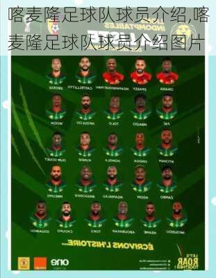 喀麦隆足球队球员介绍,喀麦隆足球队球员介绍图片