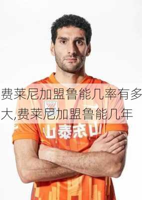 费莱尼加盟鲁能几率有多大,费莱尼加盟鲁能几年