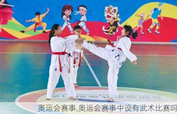 奥运会赛事,奥运会赛事中设有武术比赛吗