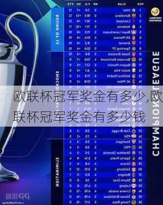 欧联杯冠军奖金有多少,欧联杯冠军奖金有多少钱
