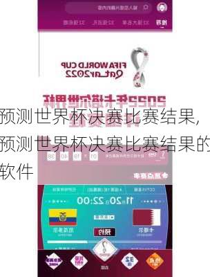预测世界杯决赛比赛结果,预测世界杯决赛比赛结果的软件
