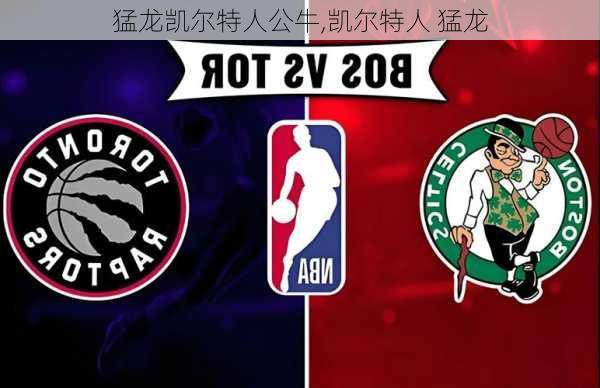 猛龙凯尔特人公牛,凯尔特人 猛龙