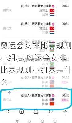 奥运会女排比赛规则小组赛,奥运会女排比赛规则小组赛是什么